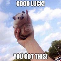 Image result for Good Luck You Got This Meme