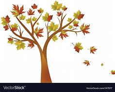 Image result for Autumn Tree Vector