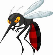 Image result for Mosquito Cartoon