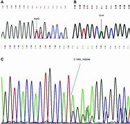 Image result for DNA Chromatogram