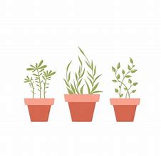 Image result for Plants Combine with Object