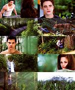 Image result for Characters List Twilight Breaking Dawn Part 2