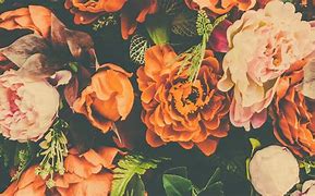 Image result for 3D Flower Wallpaper Backgrounds Computer