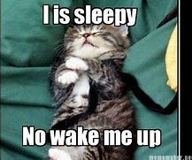 Image result for Sleeping Kitten Meme