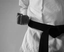 Image result for Black Belt Karate Master
