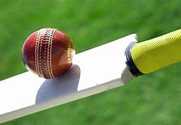 Image result for Leather Ball Cricket Bat