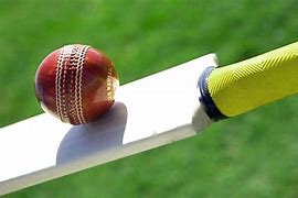 Image result for Bat Cricket Photo JPEG