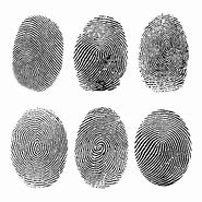 Image result for Fingerprint Clip Art Vector