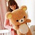 Image result for Rilakkuma Teddy