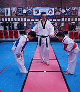 Image result for Taekwondo Master