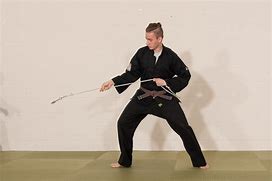 Image result for Kung Fu Styles Rat