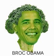 Image result for Obama Cube