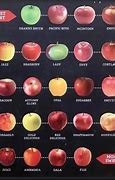 Image result for Sweet Apple Evolution