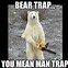 Image result for Insensitive Yogi Bear Drug Memes
