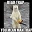 Image result for Mean Bear Meme