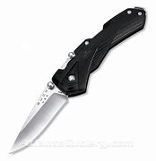 Image result for Buck Knife Assisted Opening