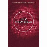 Image result for Case of NIRV Bibles