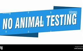 Image result for Contoh Statement No Animal Testing