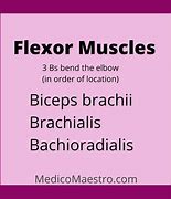 Image result for PFL Muscle