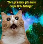 Image result for Funny Space Animals