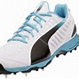 Image result for Cricket Shoes Size 6