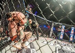 Image result for Cage Fighting