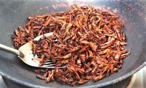 Image result for Cooked Crickets