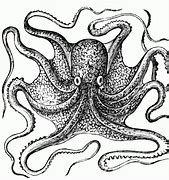 Image result for Octopus Clip Art Black