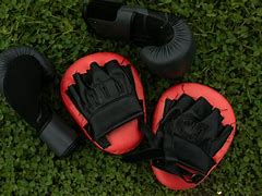 Image result for Best Budget Boxing Gloves