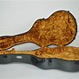Image result for PF50 Guitar Case