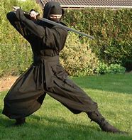 Image result for Ninja Ninjutsu