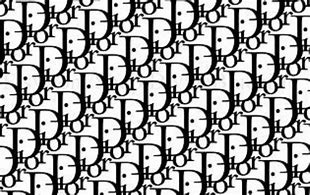 Image result for White Dior Print