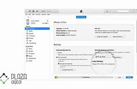 Image result for iPhone Backup in iTunes Step by Step