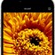 Image result for iPhone Camera Live Screen
