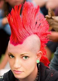 Image result for Punky Hair