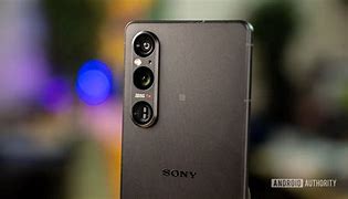 Image result for Xperia 1 V 拍摄原图