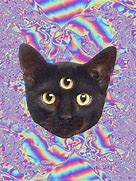 Image result for Trippy Cat Clip Art