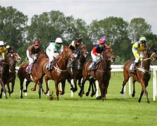 Image result for Spring Horse Racing