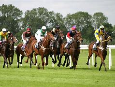 Image result for Di Haine Horse Racing