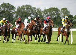 Image result for Horse Racing Clip Art Free
