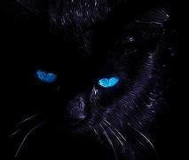 Image result for Black Cat Eyes Wallpaper