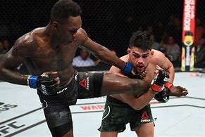 Image result for MMA Photos