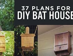 Image result for bat house kit
