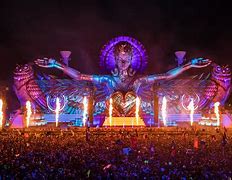 Image result for EDC Crowd