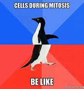 Image result for iPhone Camera Mitosis Meme