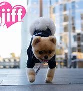 Image result for Top Jiff's