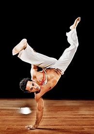 Image result for Capiara Martial Arts