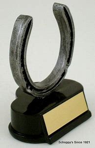 Image result for Horseshoe Trophy