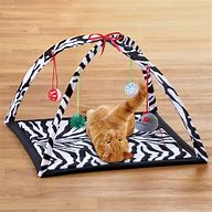 Image result for Cat Toys for Bored Cats