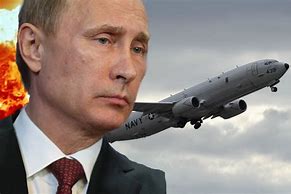 Image result for Putin Airplane